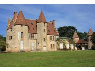 8 bedroom Castle For Sale: 03160 ALLIER