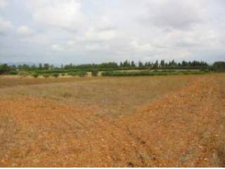 Finca plot for construction