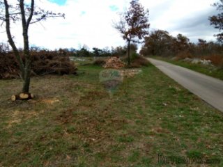 Istra, Vidulini-poljoprivredno zemljište od 17717m2