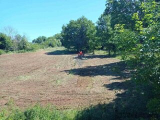 ISTRA, BARBAN - Građevinsko zemljište 1227 m2