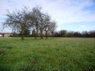 Stone House - This super piece of land..