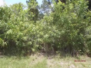 3413 Sw Rosser, Port Saint Lucie, FL -..