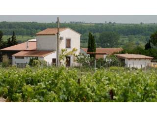 Superb Contemporary Country House..