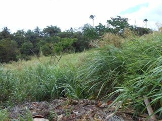 Property For Sale: Mount Wilton,Lot 30..