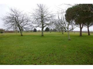 Site
