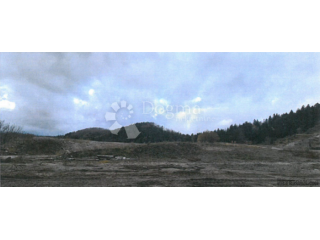 Građevinsko zemljište 10000 m2 - Vrata