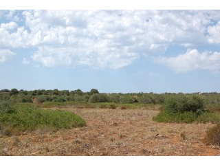 Plot near Cap Salines with plans and..