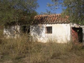 Ruin - Pretty finca providing 12,000 m2..