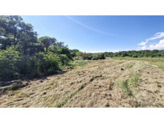 Istra,Barbariga-Poljoprivredno zemljište 616m2