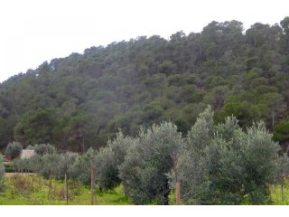 Nice plot with building project with..