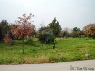 Urbanizirano zemljište 2.487 m2 u Barbarigi