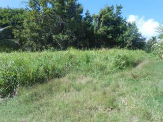 Property For Sale: Blowers Lot 15, St...