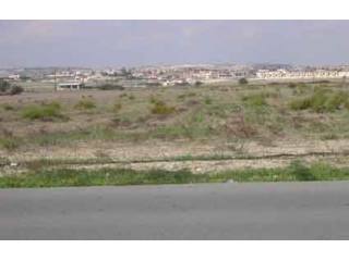 Larnaca