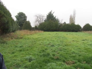 Building Plot