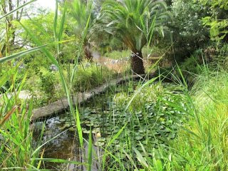 4 Bedrooms - Property - Ibiza - For Sale