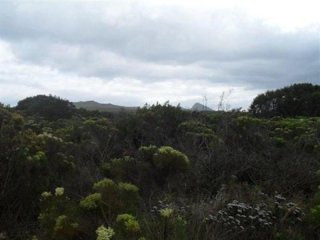 Bettys Bay Vacant Land, Bettys Bay