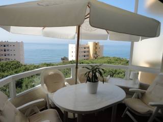1 Bed Apartment for sale in Calahonda