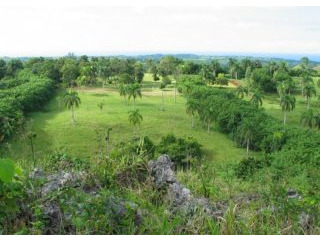 Amazing Caribbean Farm For Sale Near..