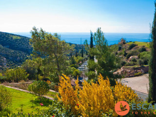 Luxury Townhouse In Adonis Village