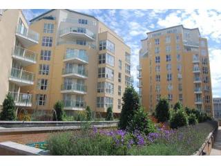 2 bed flat to rent