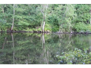 Land For Sale: Pond Gut Lagrangeville..