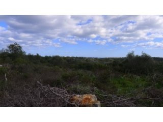 Plot To Built 2 Villas 300m2