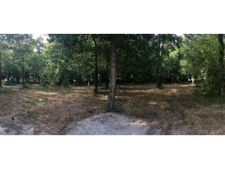 Sale Land Breuillet (17920)