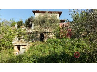 For Sale Farmhouse Massarosa