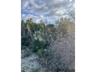 ZEMLJIŠTE NA 1.5 KM OD MORA