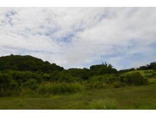 Property For Sale: Stewarts Hill, St...