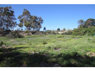 00 Ranch View Terrace 49 Encinitas..