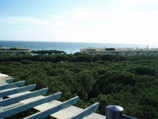 Apartment - Charming 1 bed penthouse..