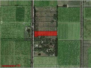 Land For Sale: SEMINOLE ROAD