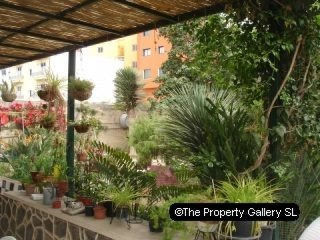 Village House For Sale in San Miguel De..