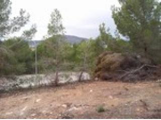 - Land - For Sale