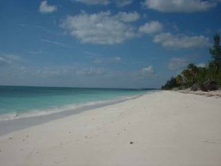Singlefamilyvacant - Located in the..