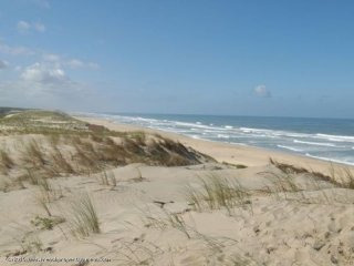 Building plots near the beach