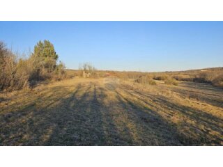 Istra, Grožnjan- negrađevinsko zemljište sa starinom