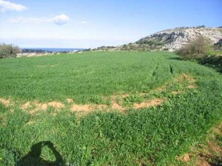 Land / Fields, N/a