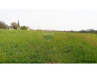 ISTRA, PREKRASNA PARCELA 2500 M2, PRILIKA!
