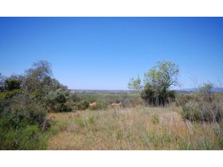 Land - Algarve - For Sale