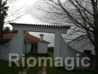 T3 - Herdade