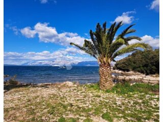PELJEŠAC - GRAĐEVINSKO ZEMLJIŠTE, NEPOSREDNA BLIZINA MORA