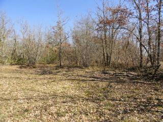 26128 - Vente - Terrain - Vergt
