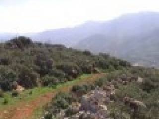 Hillside Plot In Secluded Area