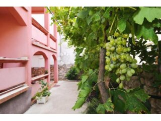 Kuća sa šest apartmana
