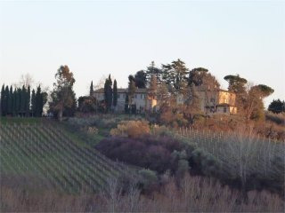 11 bedroom Farm House For Sale: Pisa