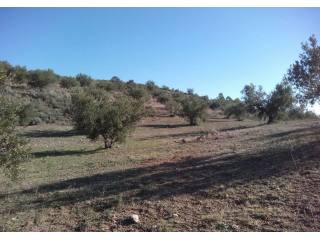 Navarres, Costa Blanca North