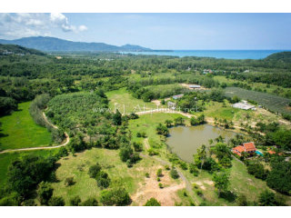 18+ Rai Land in Layan