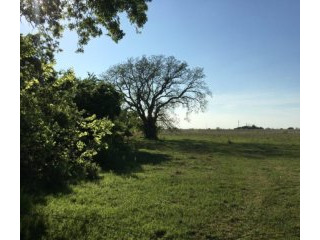 80 Acres of Prime Texas Farm & Ranch..